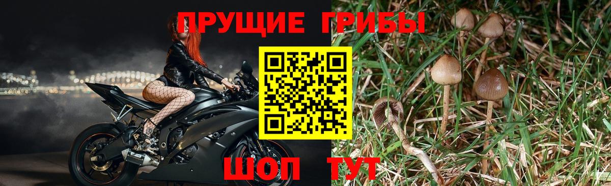 Псилоцибиновые грибы ЛСД  Псилоцибиновые грибы Cubensis  Кудымкар  Вход с VPN 